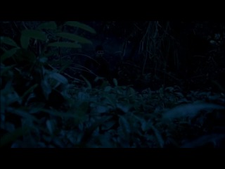 S5E06 Merlin «The Dark Tower» | «Темная башня» | БЯКО Рекордс HD 720